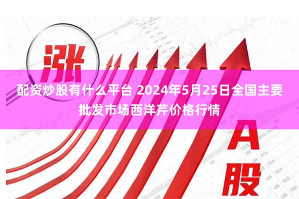 配资炒股有什么平台 2024年5月25日全国主要批发市场西洋芹价格行情