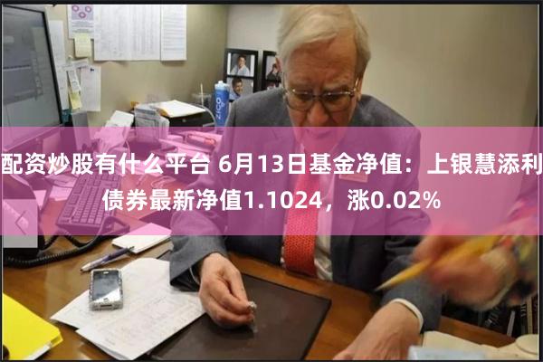 配资炒股有什么平台 6月13日基金净值：上银慧添利债券最新净值1.1024，涨0.02%