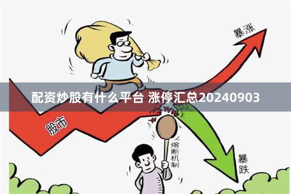 配资炒股有什么平台 涨停汇总20240903