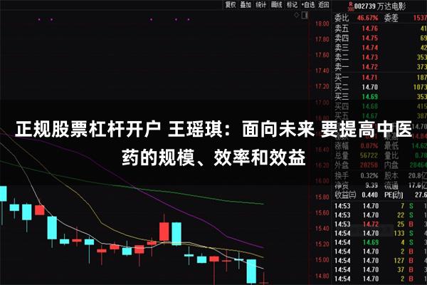 正规股票杠杆开户 王瑶琪：面向未来 要提高中医药的规模、效率和效益