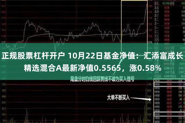 正规股票杠杆开户 10月22日基金净值：汇添富成长精选混合A最新净值0.5565，涨0.58%