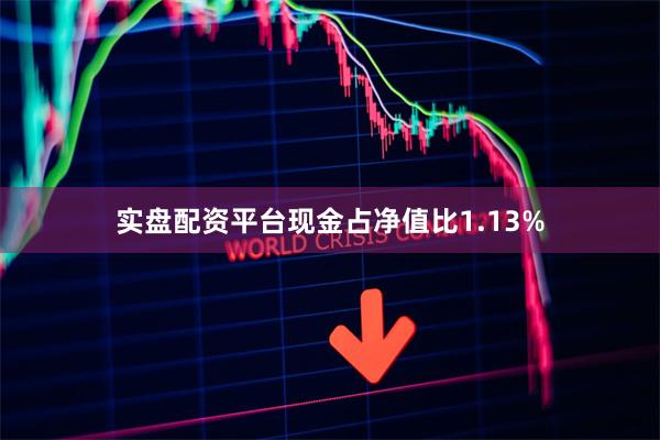 实盘配资平台现金占净值比1.13%