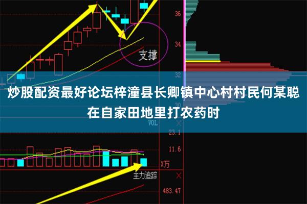 炒股配资最好论坛梓潼县长卿镇中心村村民何某聪在自家田地里打农药时